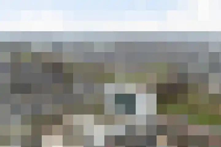 Tasmanië 242 Zoetermeer thumbnail 41