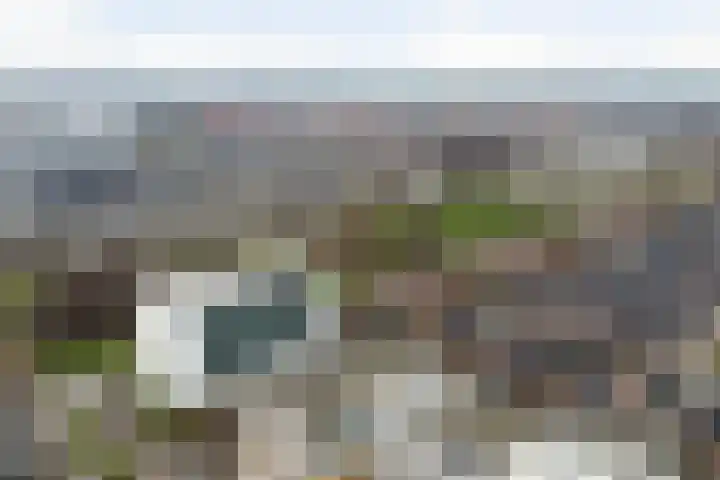Tasmanië 242 Zoetermeer thumbnail 42