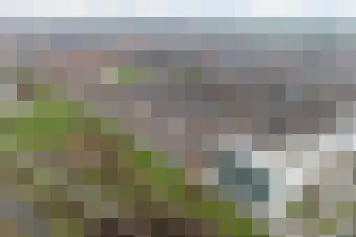 Tasmanië 242 Zoetermeer thumbnail 44