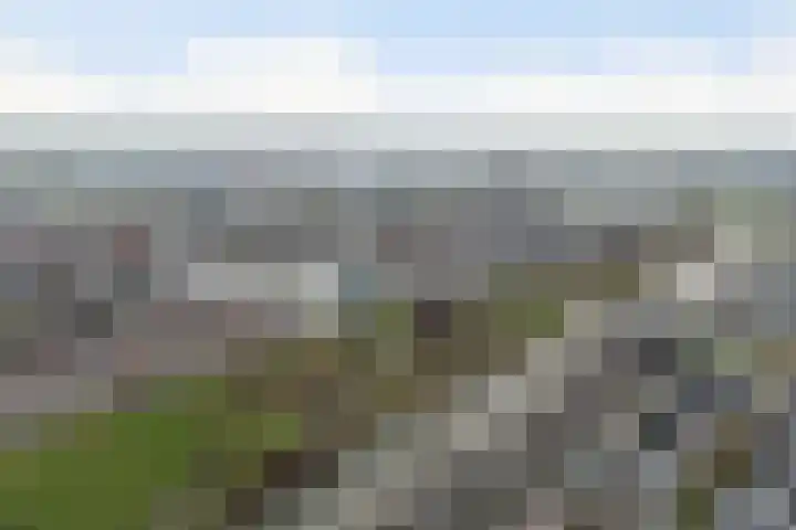 Tasmanië 242 Zoetermeer thumbnail 46