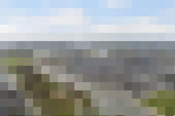 Tasmanië 242 Zoetermeer thumbnail 48