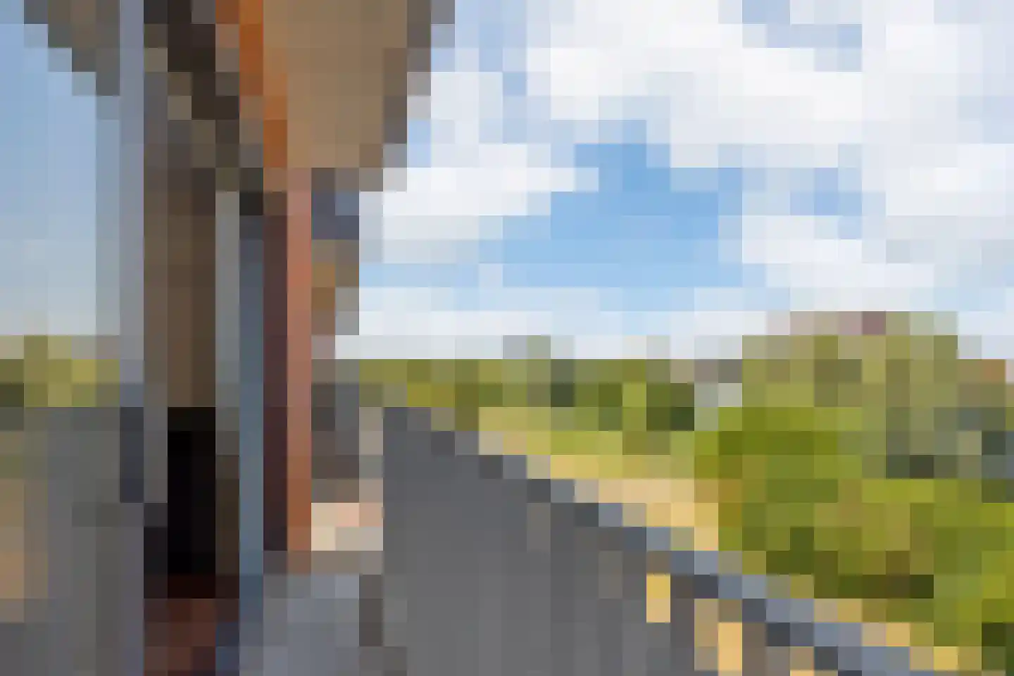 Tasmanië 26 Zoetermeer thumbnail 11