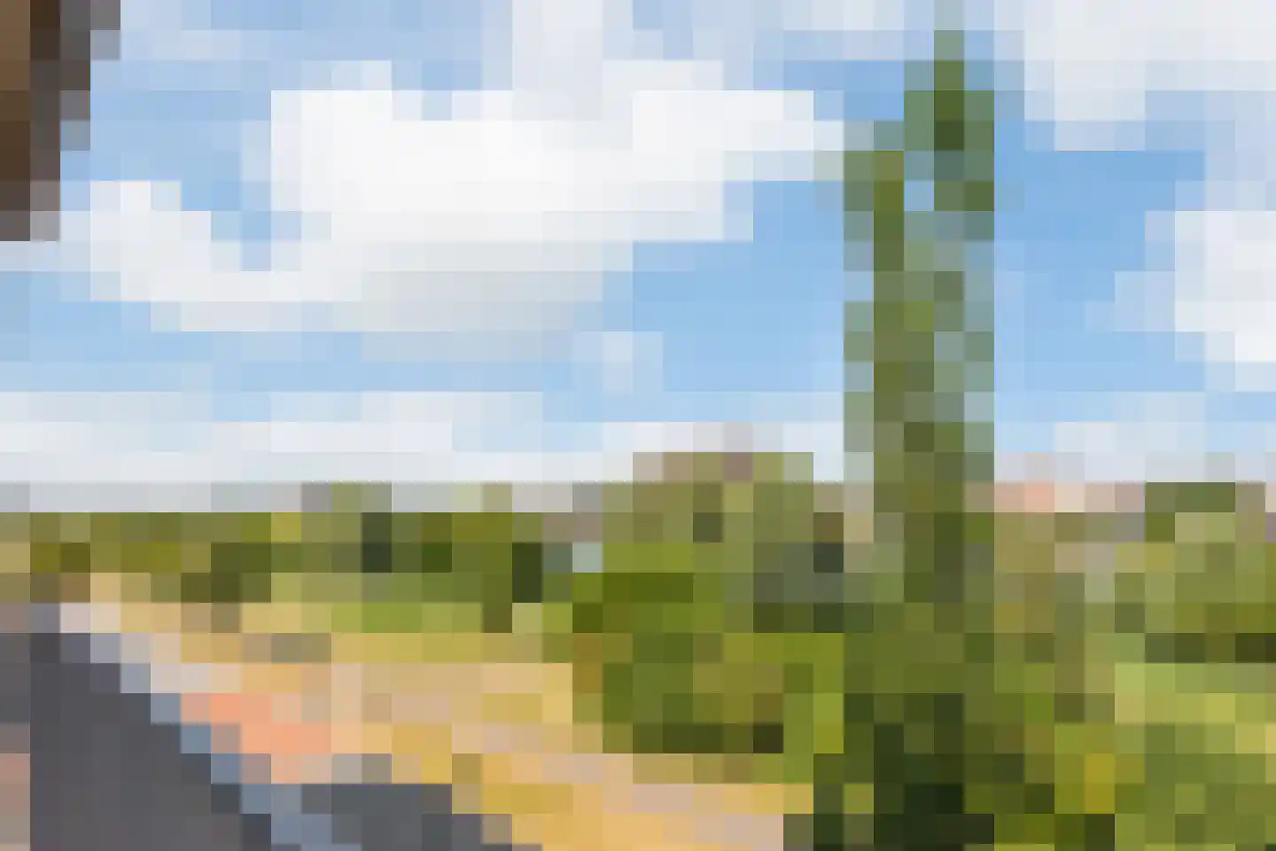 Tasmanië 26 Zoetermeer thumbnail 12
