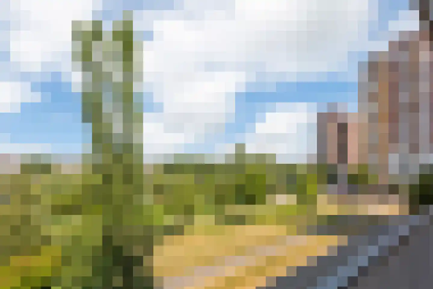 Tasmanië 26 Zoetermeer thumbnail 13