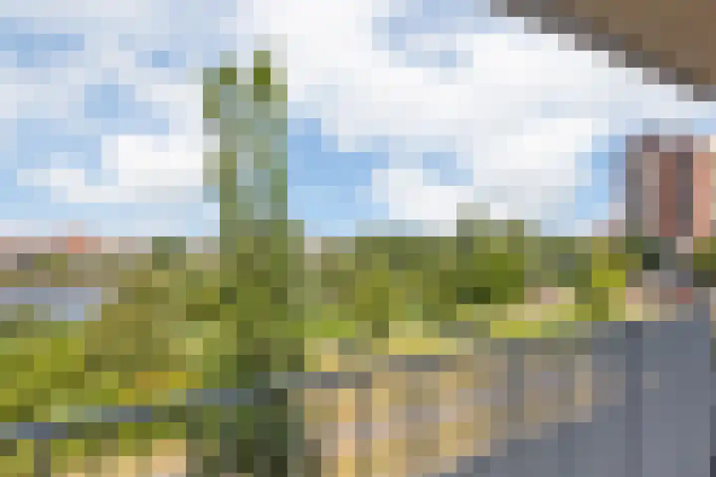 Tasmanië 26 Zoetermeer thumbnail 14