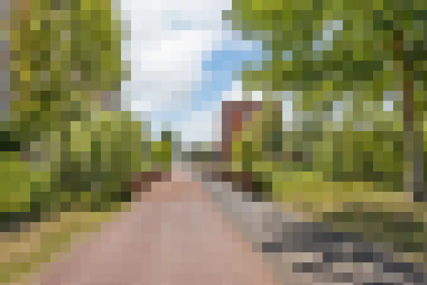 Tasmanië 26 Zoetermeer thumbnail 40