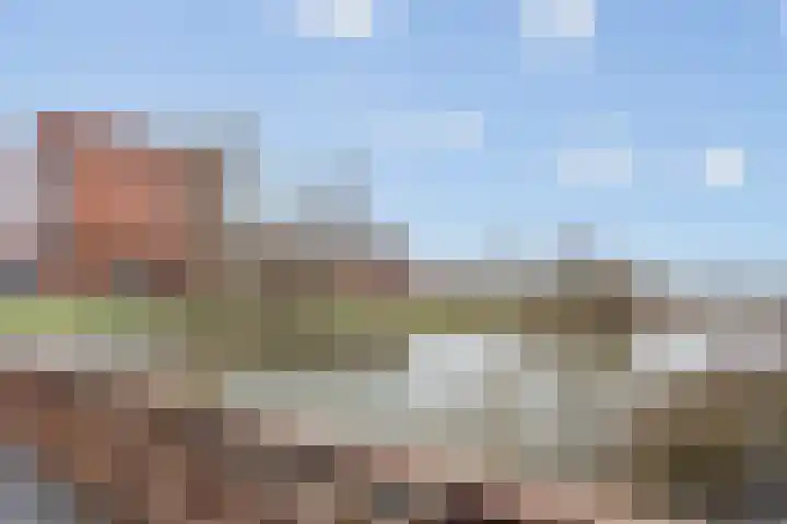 Tasmanië 42 Zoetermeer thumbnail 29