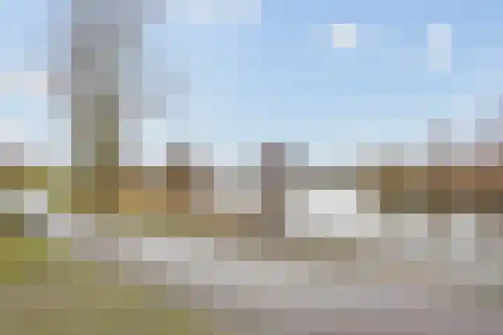 Tasmanië 42 Zoetermeer thumbnail 31