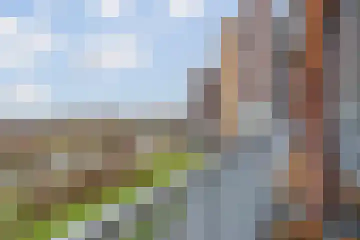 Tasmanië 42 Zoetermeer thumbnail 8