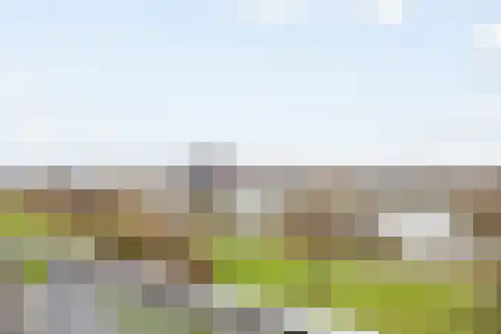 Tasmanië 42 Zoetermeer thumbnail 9