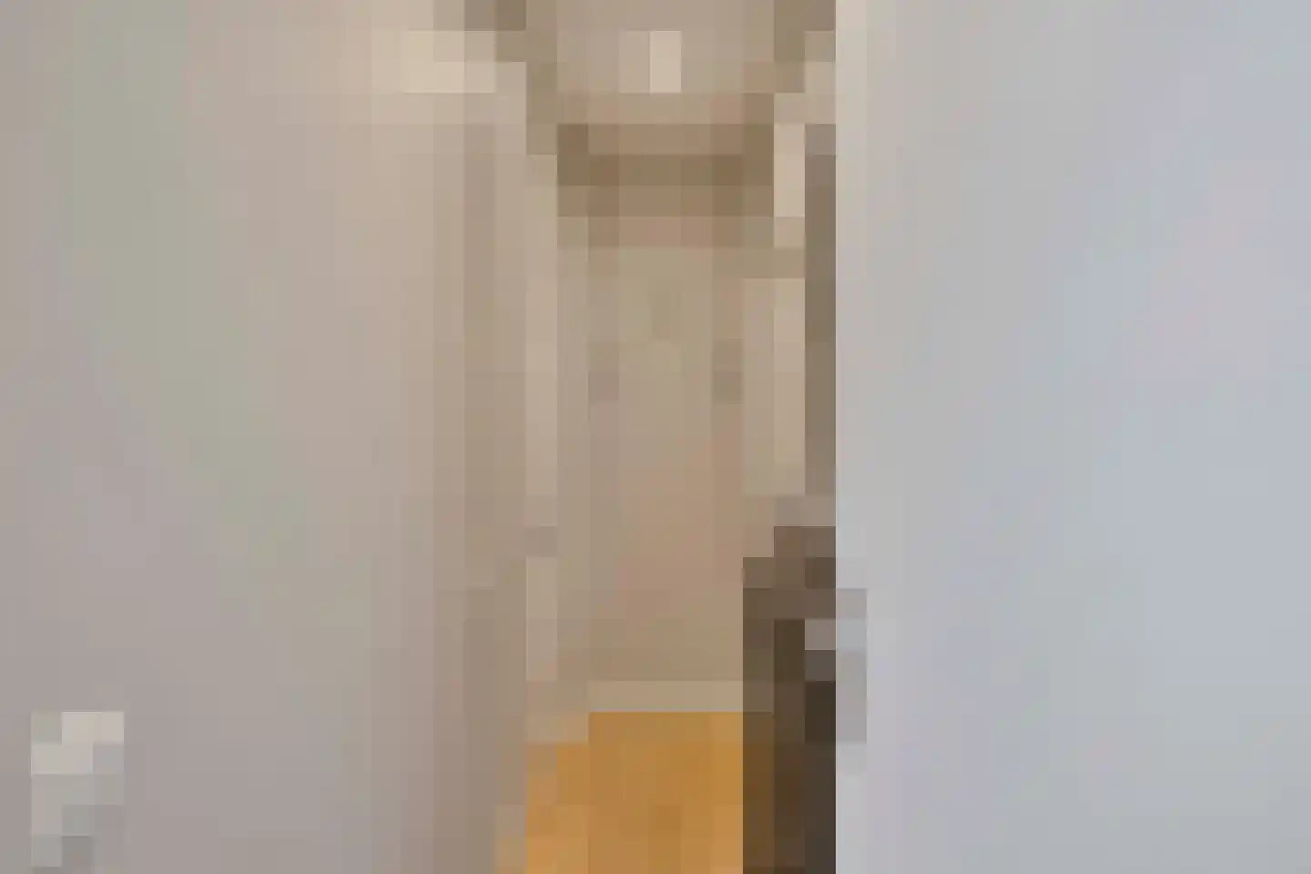 Tasmanstraat 10 Den Haag thumbnail 11