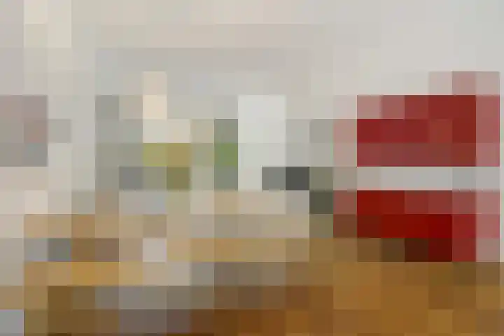 Tasmanstraat 147 Den Haag thumbnail 6