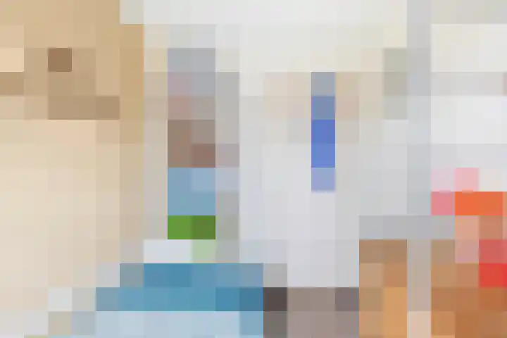 Tasmanstraat 20 Lisse thumbnail 15