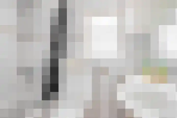 Tasmanstraat 20 Lisse thumbnail 18