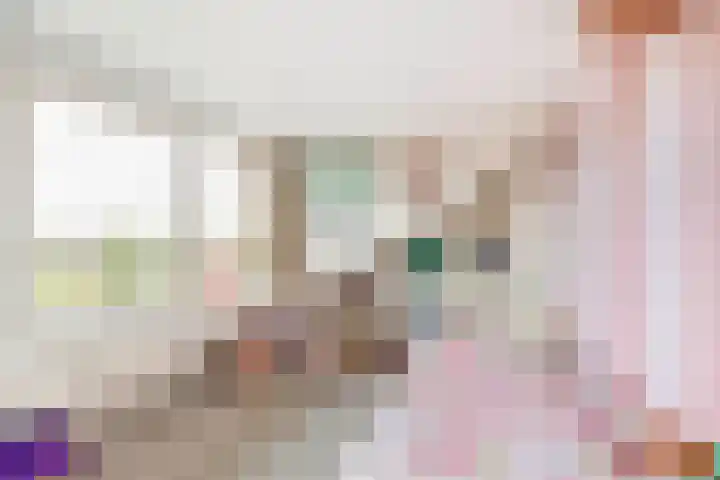 Tasmanstraat 20 Lisse thumbnail 22