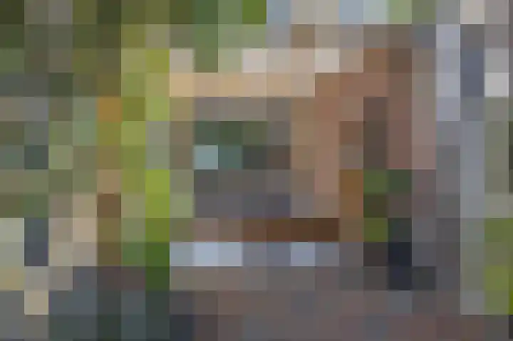 Tasmanstraat 20 Lisse thumbnail 26