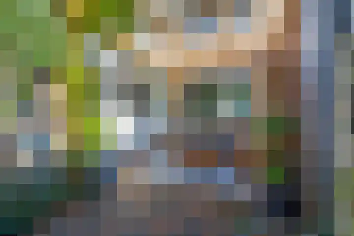 Tasmanstraat 20 Lisse thumbnail 27