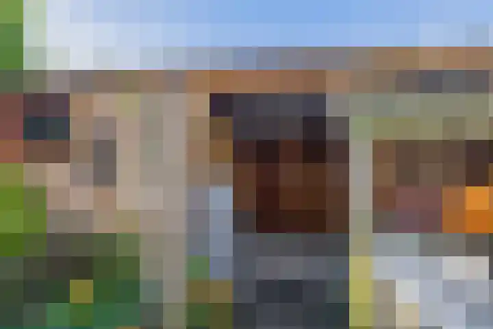 Tasmanstraat 20 Lisse thumbnail 29