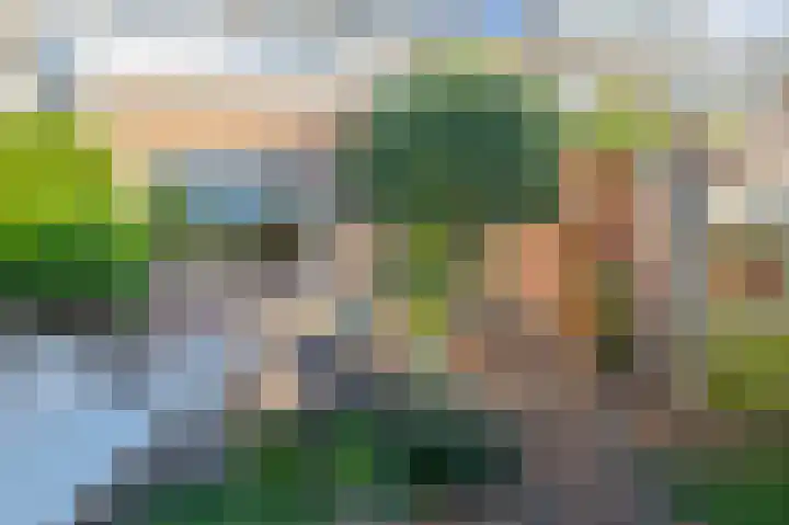 Tasmanstraat 20 Lisse thumbnail 30
