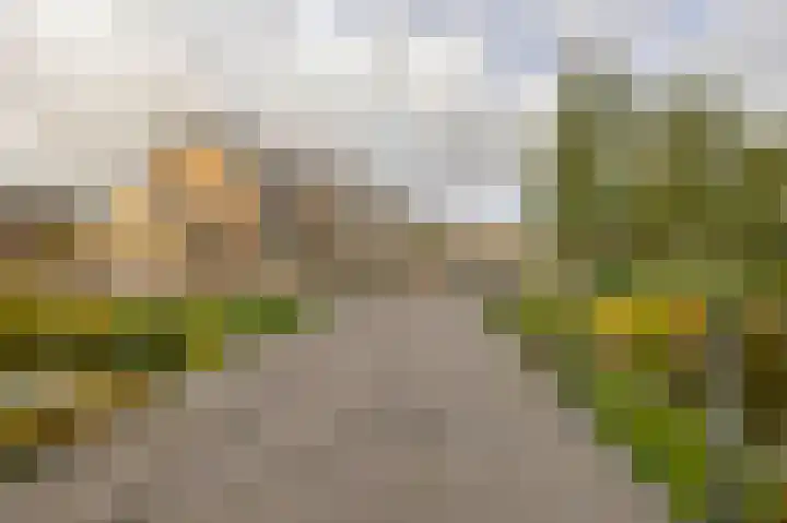 Tasmanstraat 20 Lisse thumbnail 31