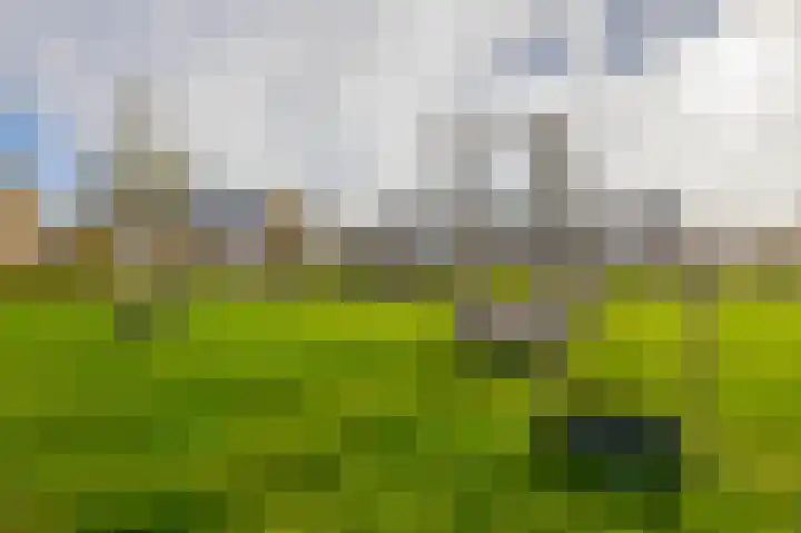 Tasmanstraat 20 Lisse thumbnail 36