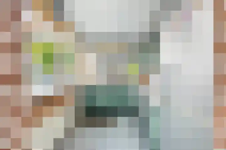 Tasmanstraat 20 Lisse thumbnail 7