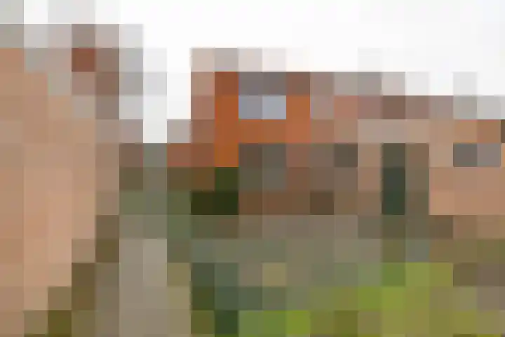 Tasmanstraat 24 Hoogezand thumbnail 20