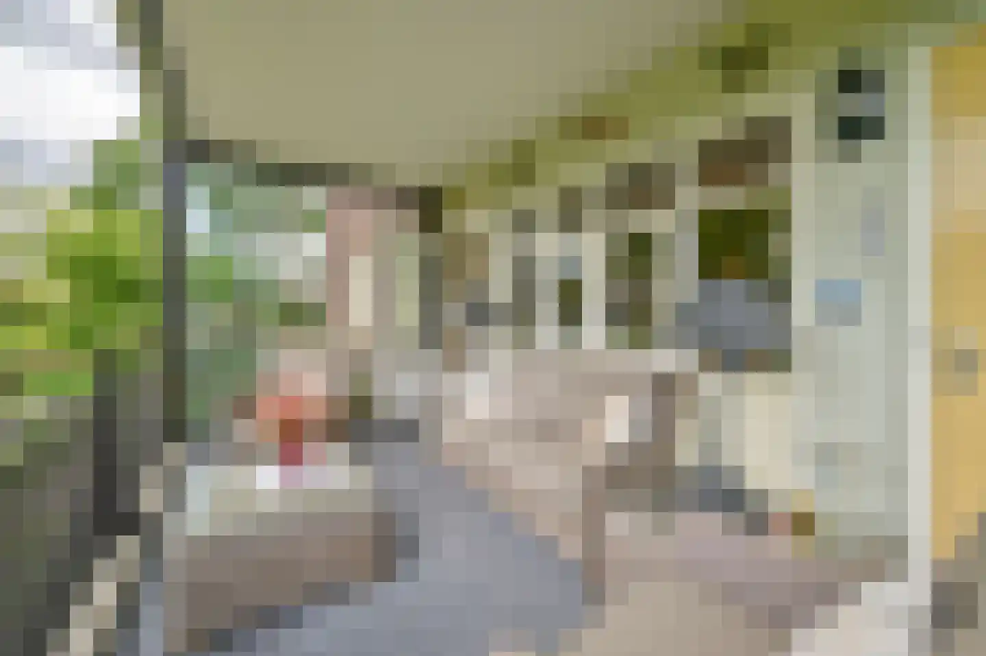 Tasmanstraat 26 Ede thumbnail 20