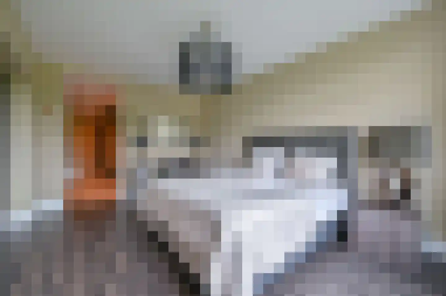 Tasmanstraat 26 Ede thumbnail 26