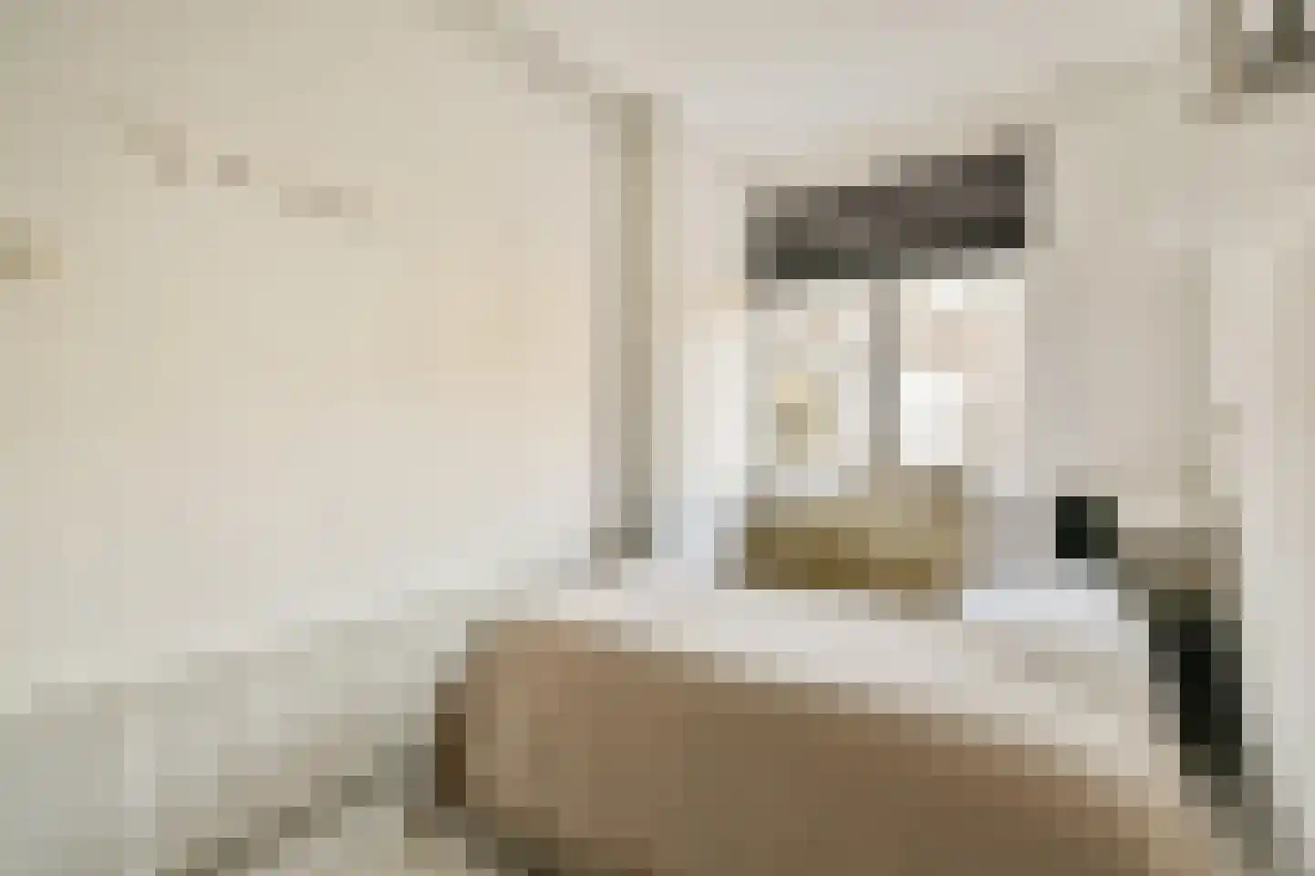 Tasmanstraat 3 3 Amsterdam thumbnail 13