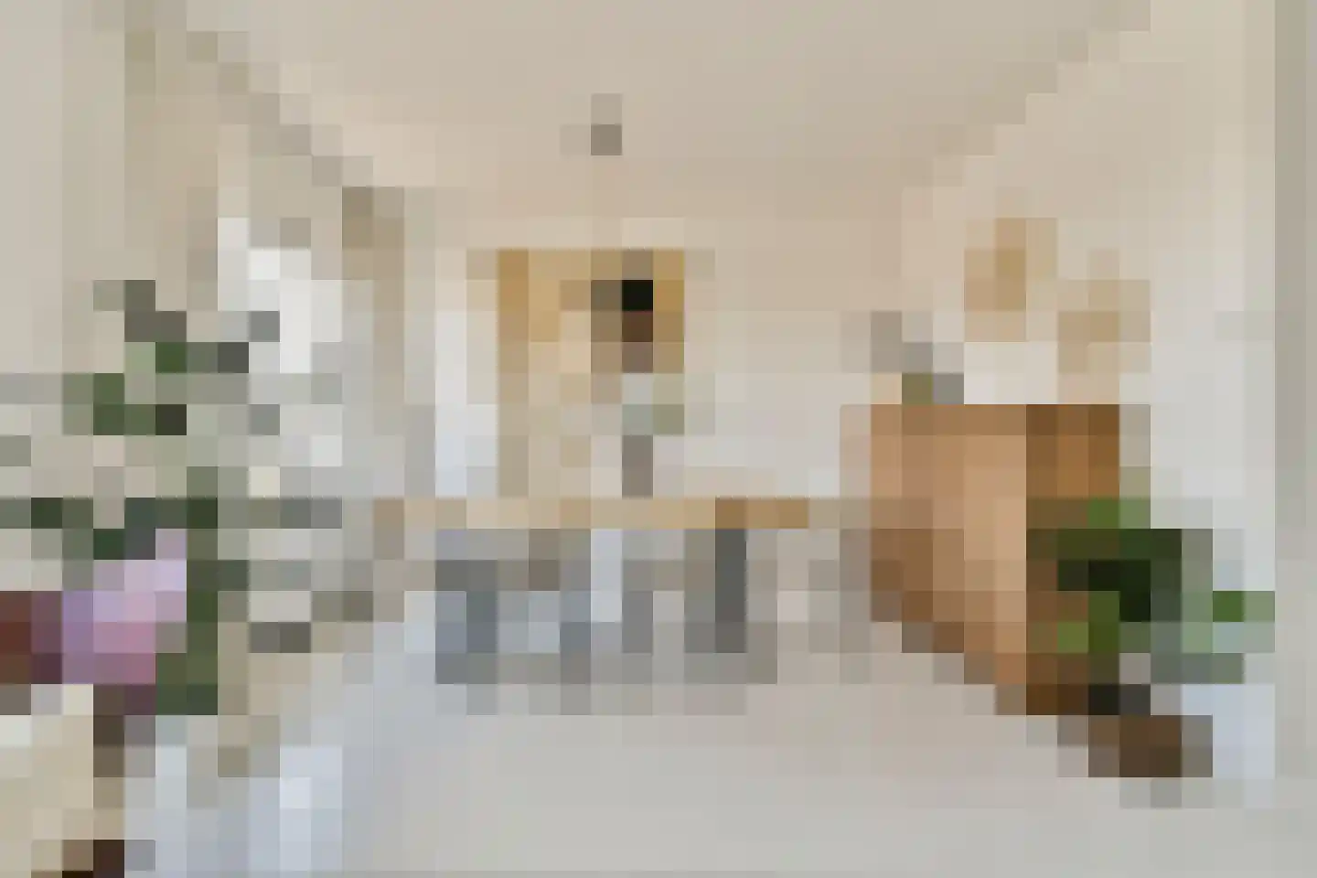 Tasmanstraat 3 3 Amsterdam thumbnail 5