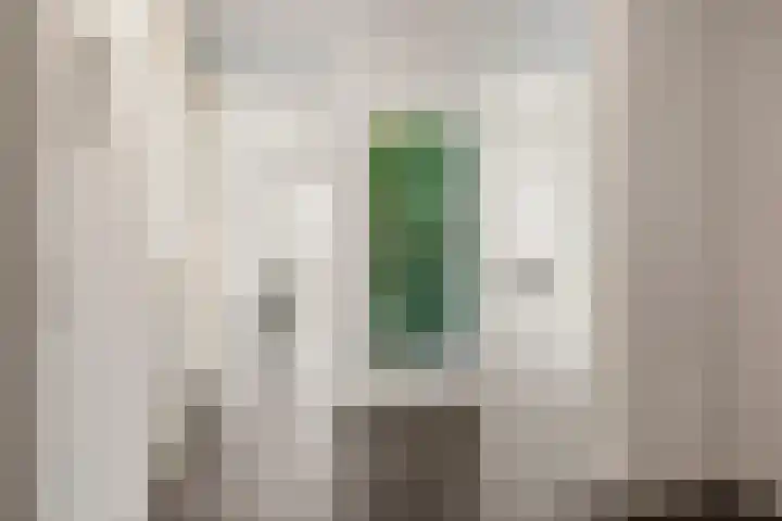 Tasmanstraat 36 Ede thumbnail 10
