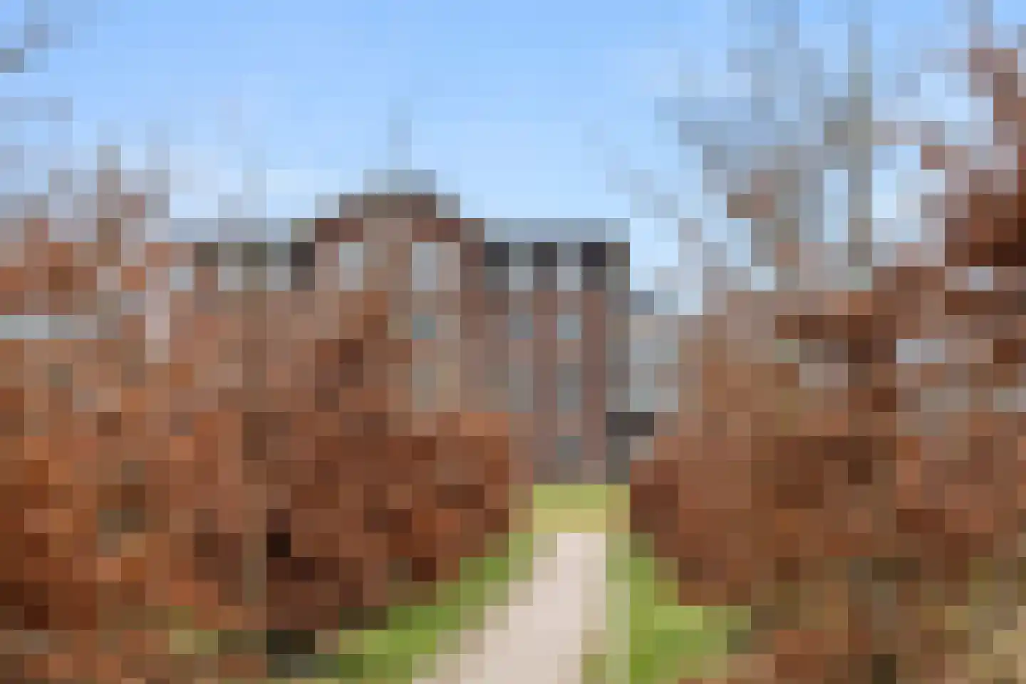 Tasmanstraat 36 Ede thumbnail 38