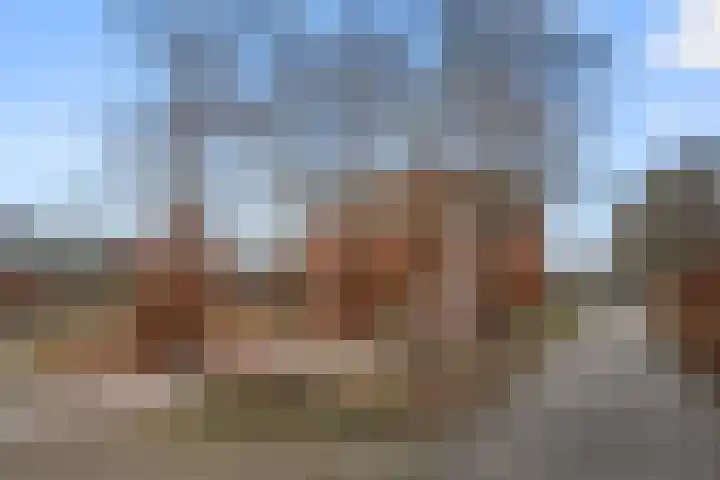 Tasmanstraat 36 Ede thumbnail 39