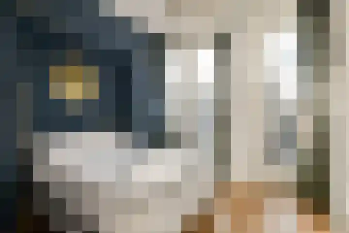 Tasmanstraat 5 1 Amsterdam thumbnail 14