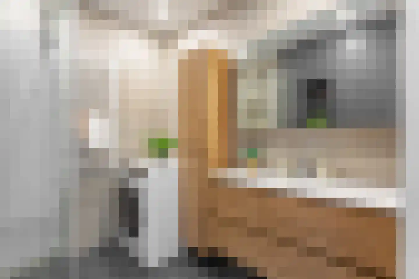 Tasmanstraat 5 1 Amsterdam thumbnail 15