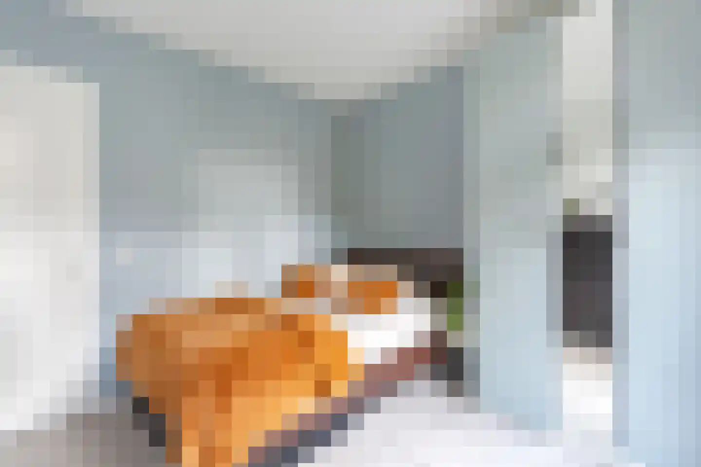 Tasmanstraat 5 1 Amsterdam thumbnail 21