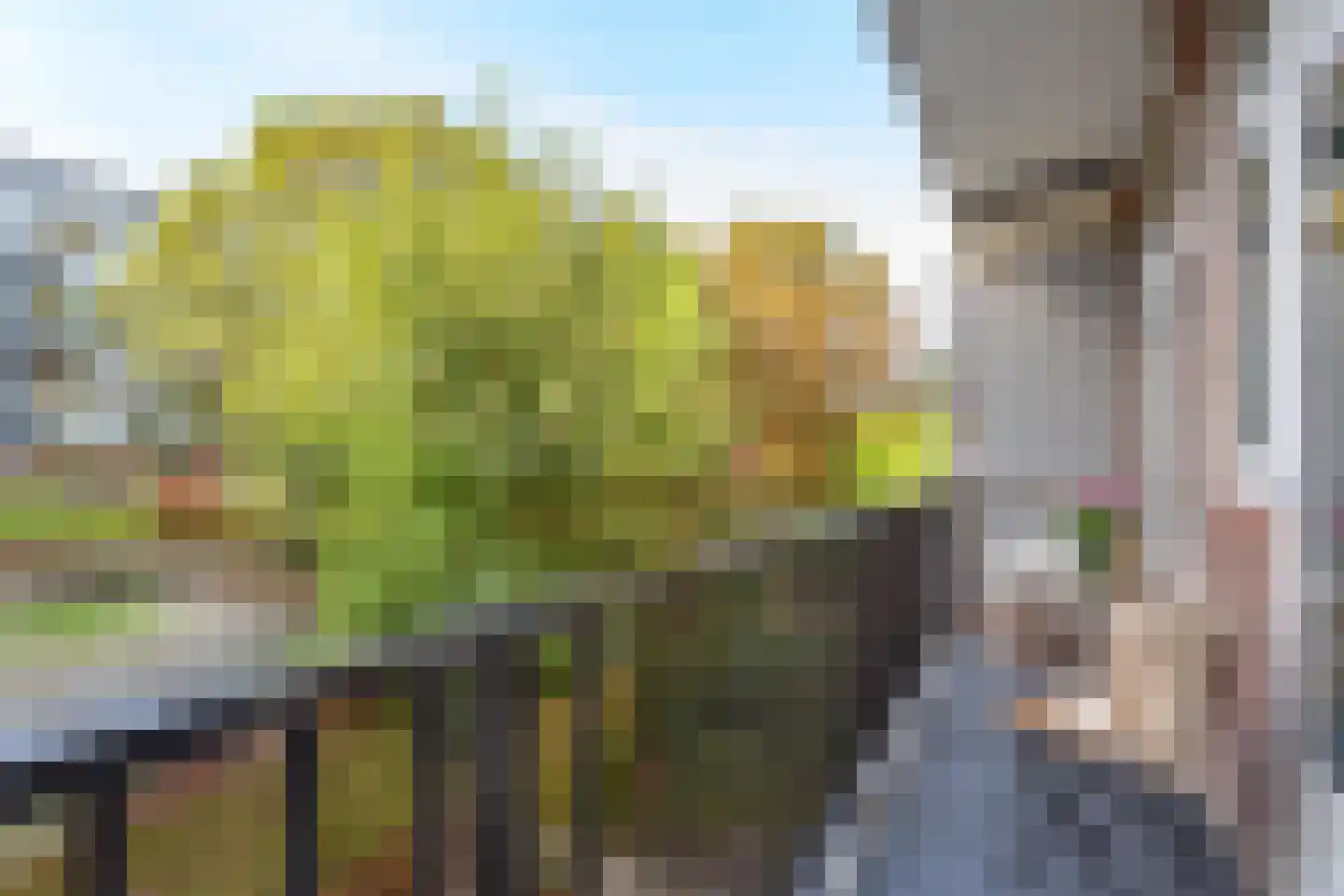 Tasmanstraat 5 1 Amsterdam thumbnail 6