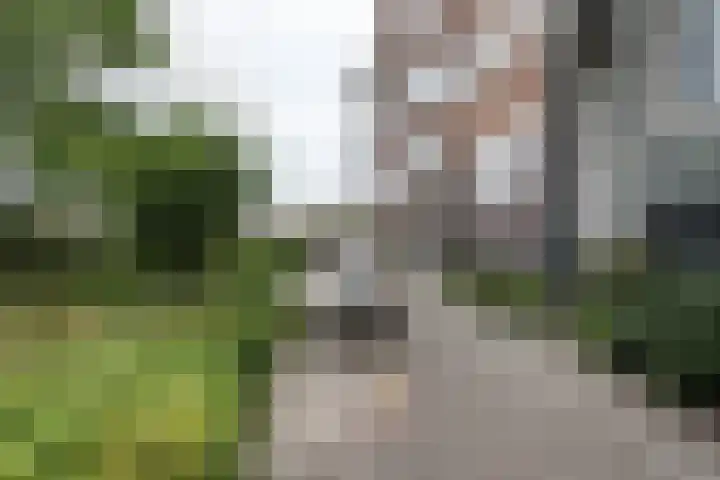 Tasmanstraat 7 A Amsterdam thumbnail 56