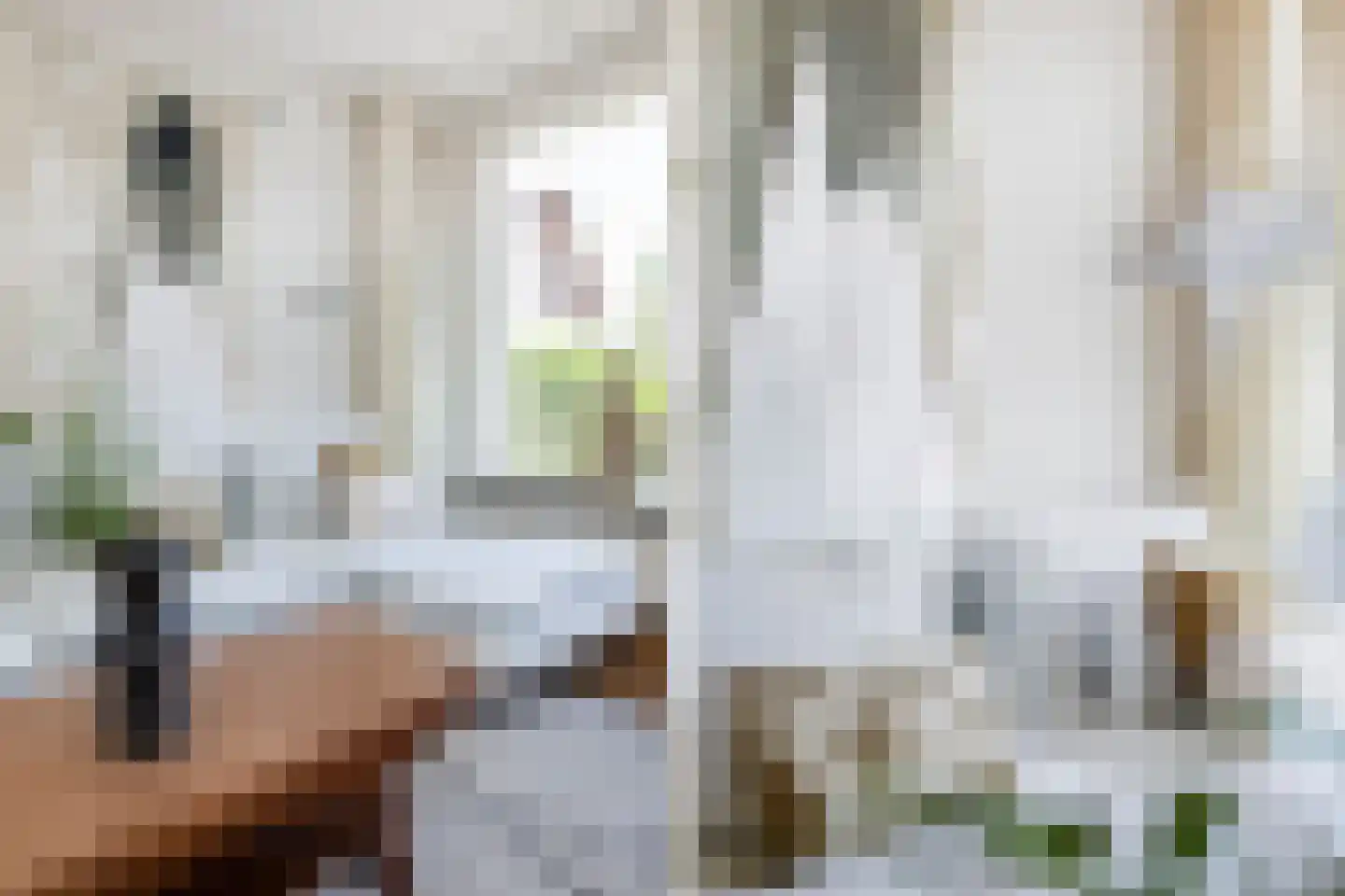 Tasmanstraat 8 Lisse thumbnail 10