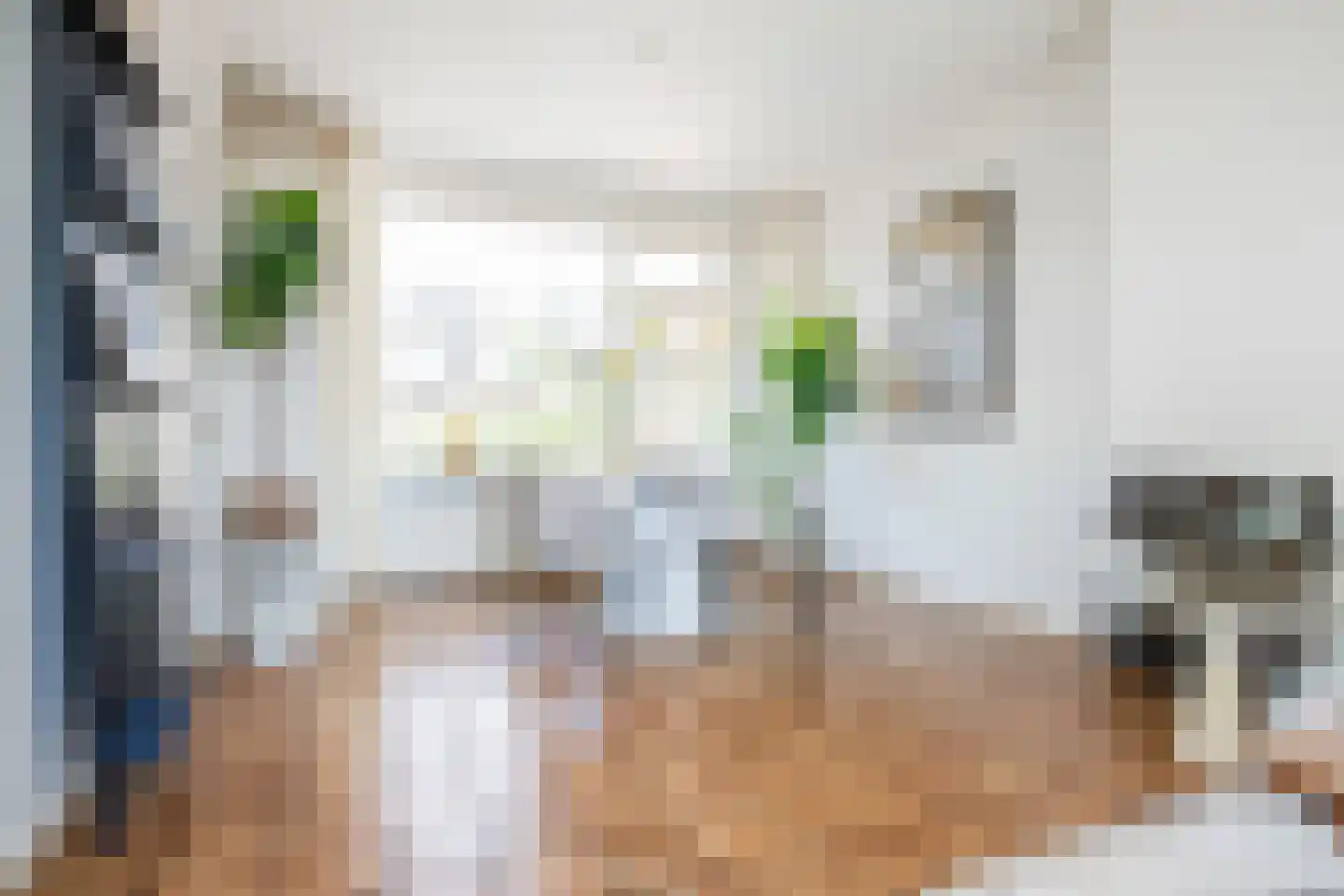 Tasmanstraat 8 Lisse thumbnail 11