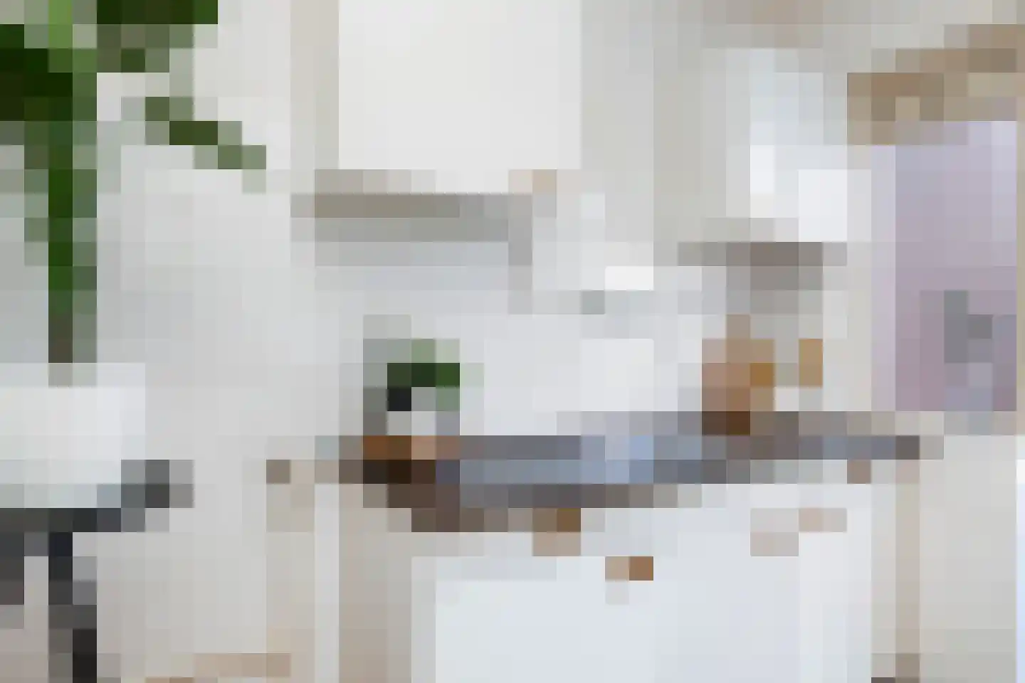 Tasmanstraat 8 Lisse thumbnail 13