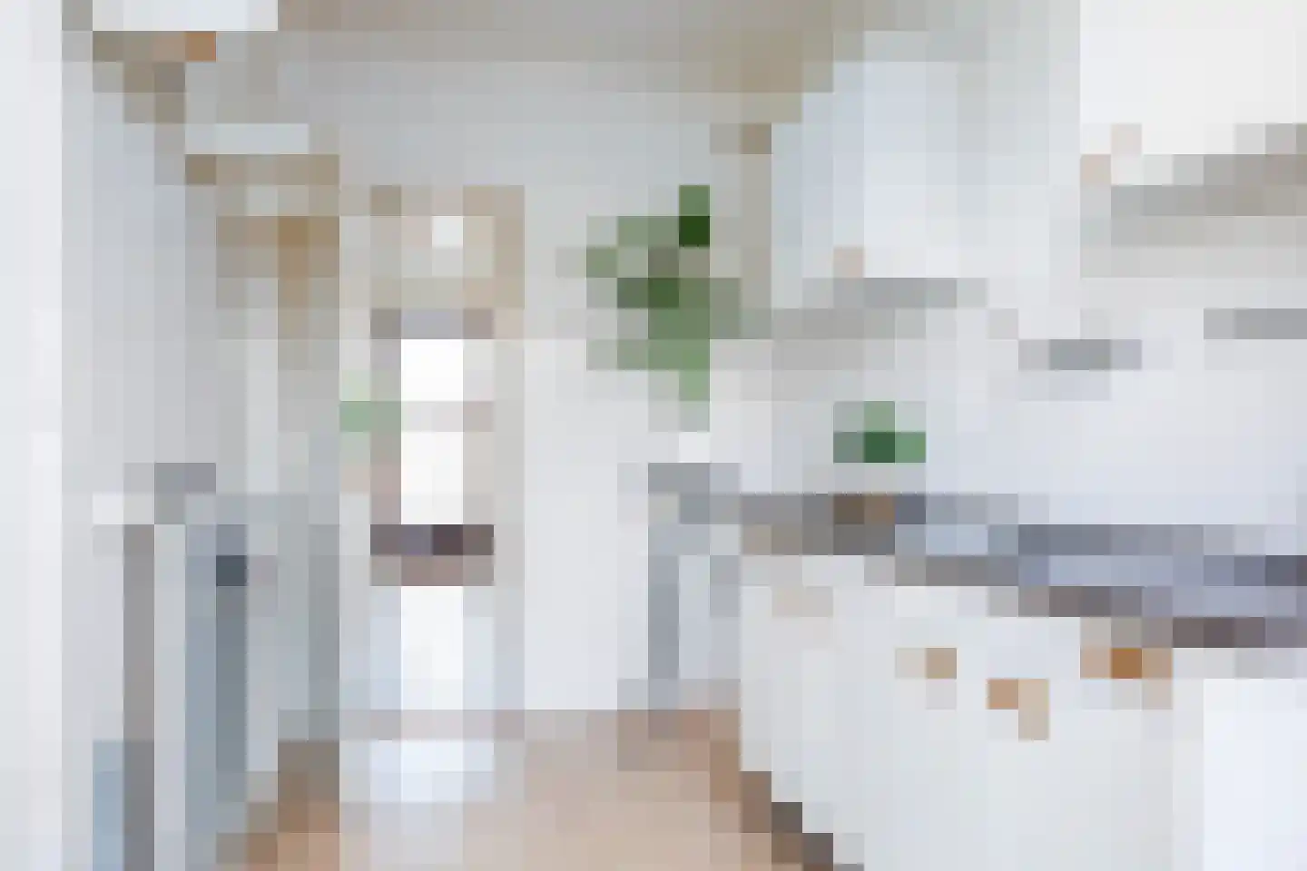 Tasmanstraat 8 Lisse thumbnail 14