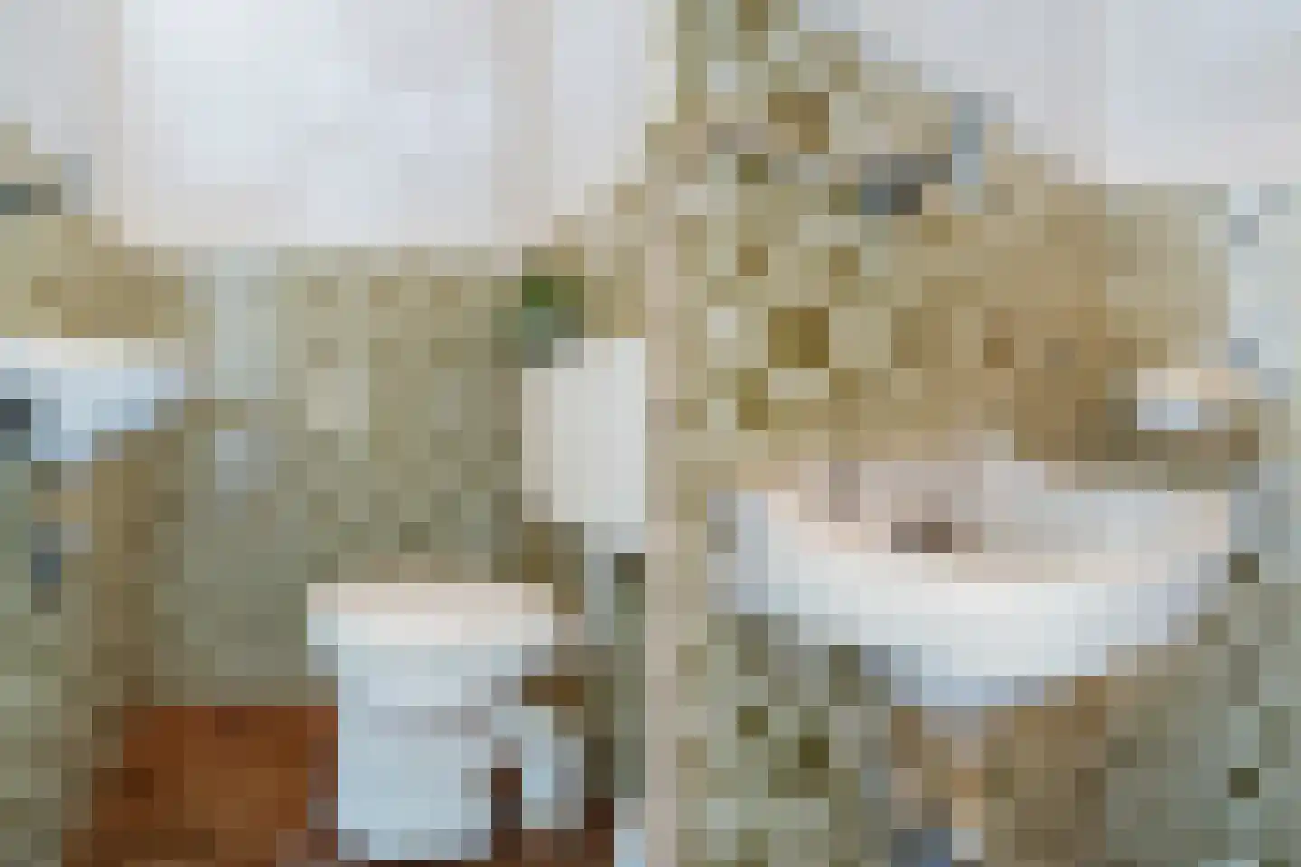 Tasmanstraat 8 Lisse thumbnail 15