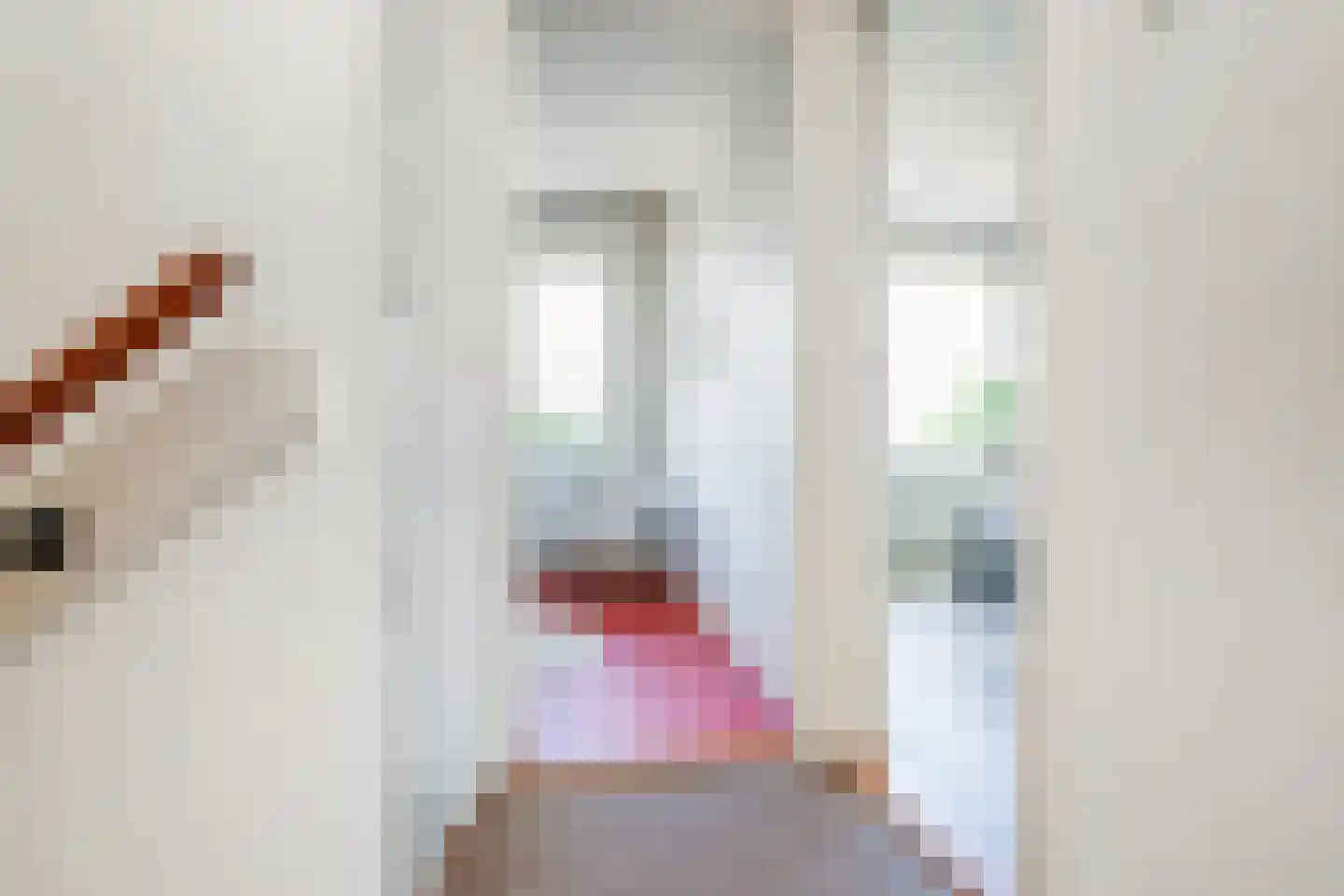 Tasmanstraat 8 Lisse thumbnail 16