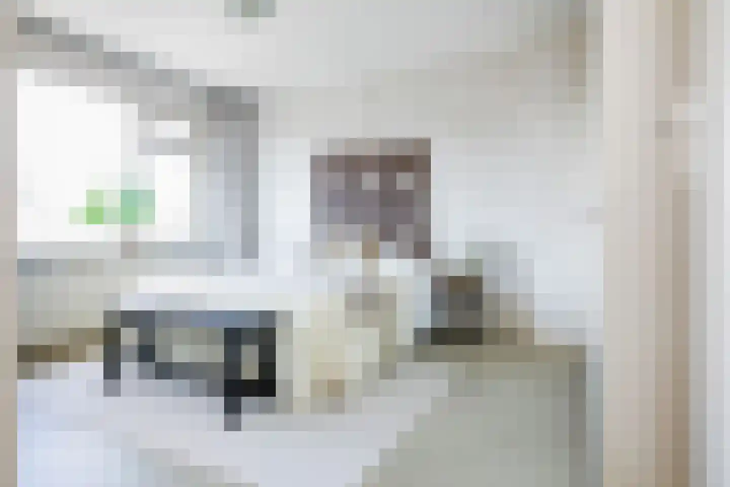 Tasmanstraat 8 Lisse thumbnail 18