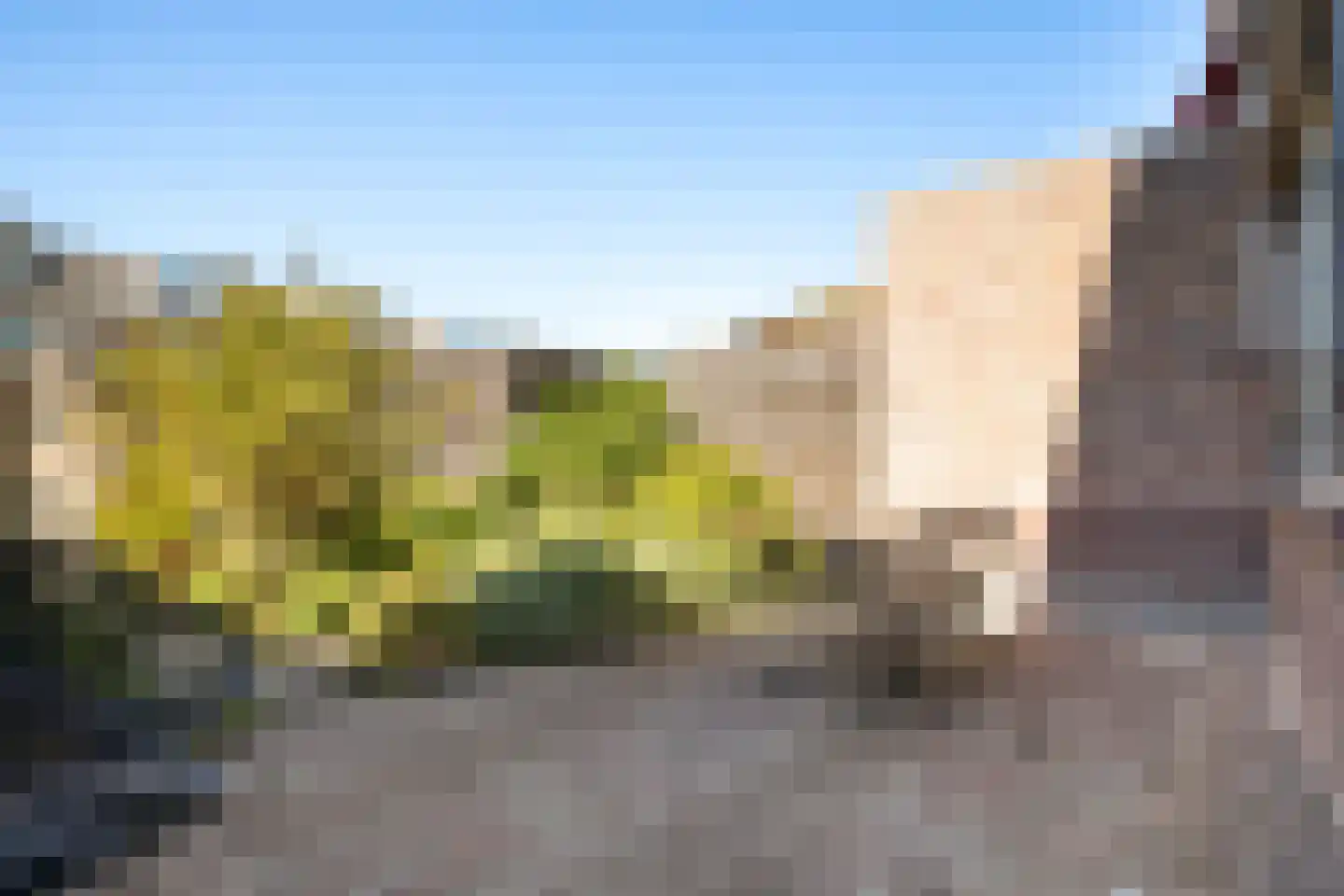 Tasmanstraat 8 Lisse thumbnail 31