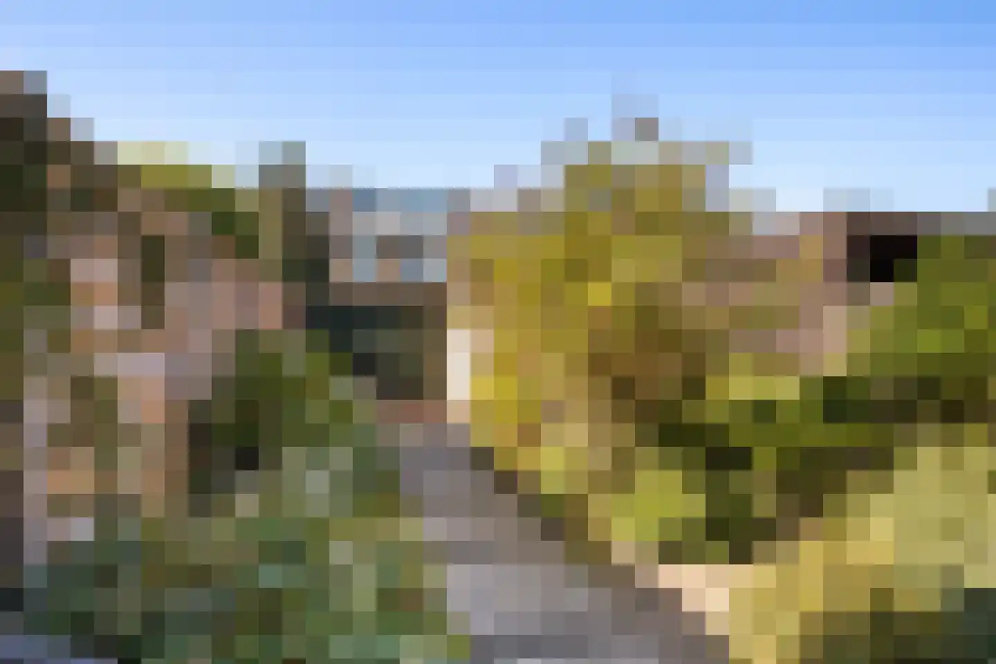 Tasmanstraat 8 Lisse thumbnail 32