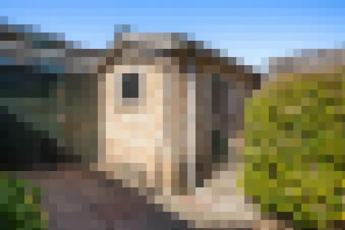 Tasmanstraat 8 Lisse thumbnail 33