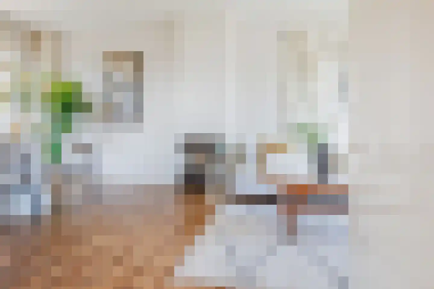 Tasmanstraat 8 Lisse thumbnail 8